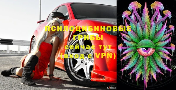 ГАЛЛЮЦИНОГЕННЫЕ ГРИБЫ Лабытнанги