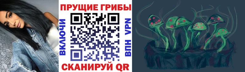 Псилоцибиновые грибы Psilocybine cubensis Орёл