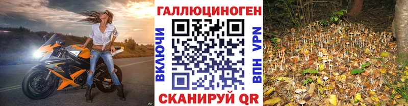 Псилоцибиновые грибы мухоморы  Купить где  Орёл 